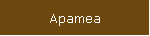 Apamea