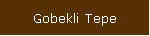 Gobekli Tepe